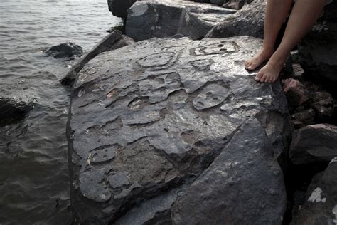  Festivalen av den Vattnade Sländan: En Mysterious Ceremony under Solens Glans i Forntida Amazonas